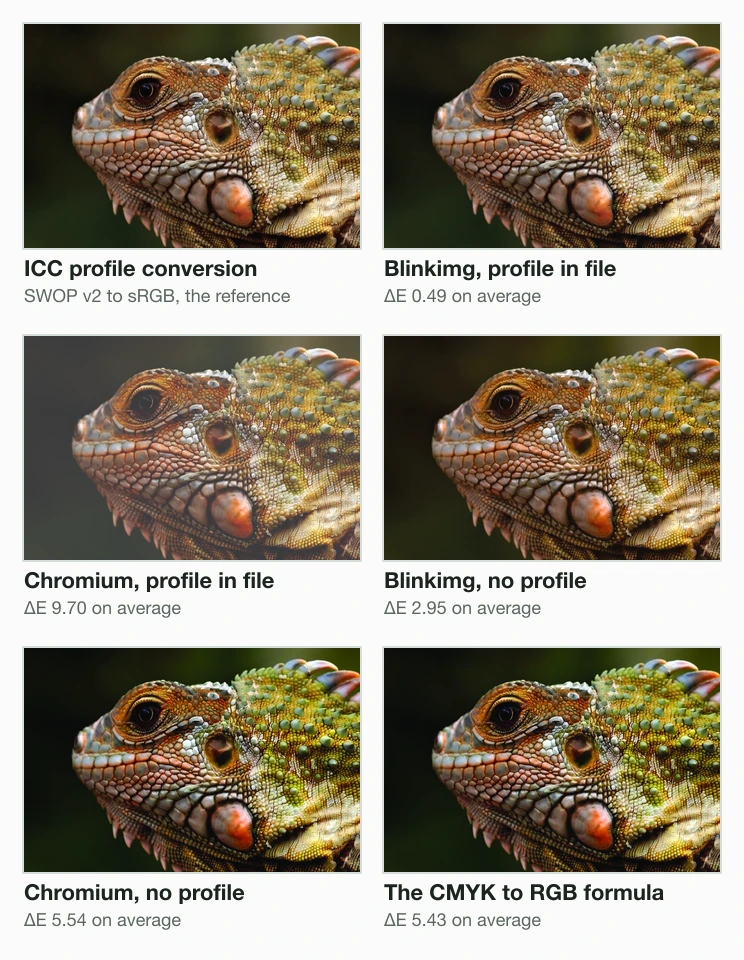 Six crops of the same iguana head: the ICC profile conversion; Blinkimg with the profile in the file, ΔE 0.49; Chromium with the profile, ΔE 9.70 and visibly grey; Blinkimg with no profile, ΔE 2.95; Chromium with no profile, ΔE 5.54; the formula, ΔE 5.43.
