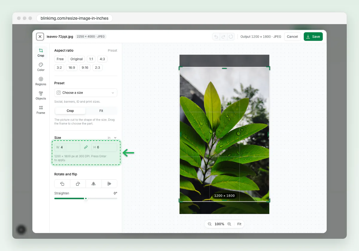 Screenshot of Blinkimg’s editor with Size set to W 4 and H 6 inches, marked, and the line 1200 × 1800 px at 300 DPI below.
