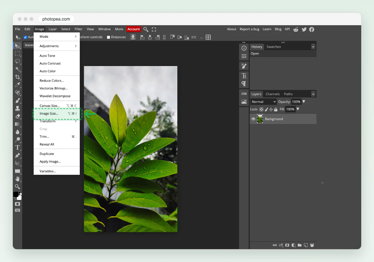 Screenshot of Photopea in Chrome with the leaf photo open and the Image menu showing Image Size marked.
