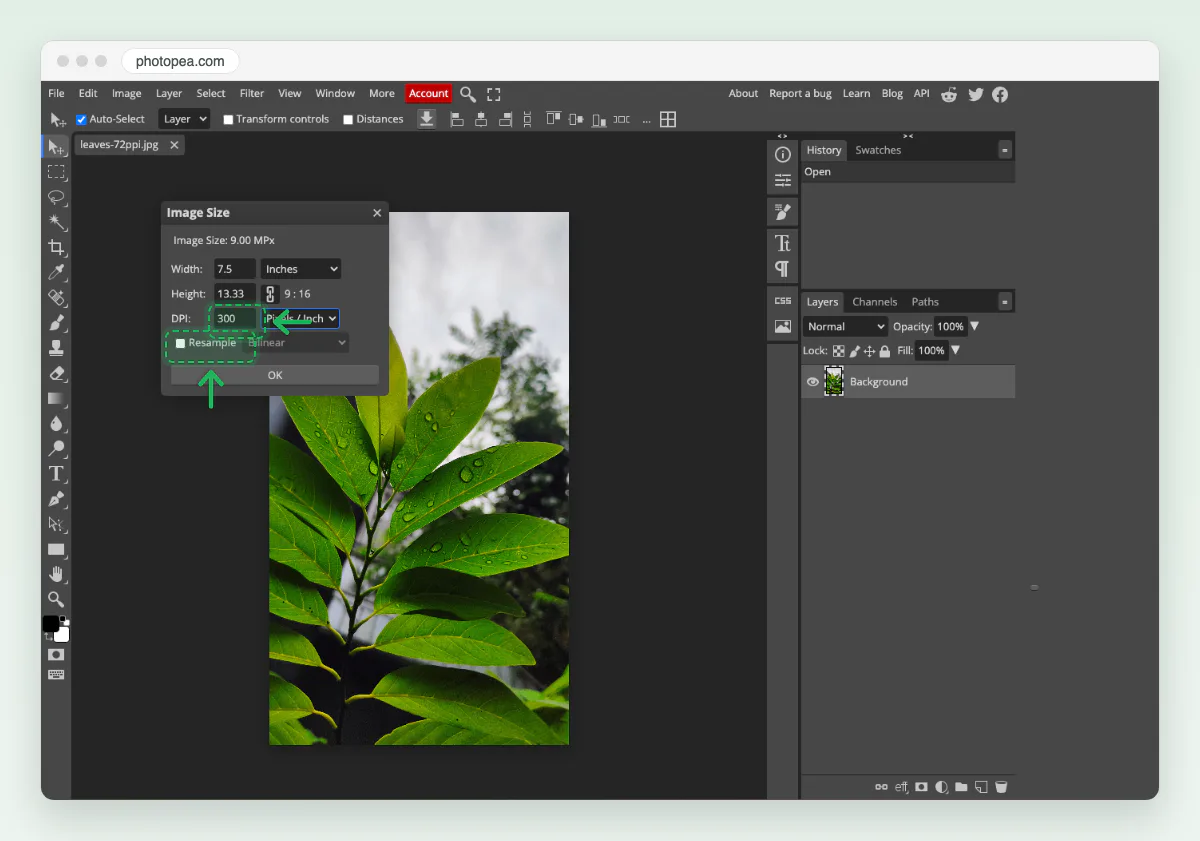 Screenshot of Photopea’s Image Size dialog with Resample unticked and DPI 300 marked; Width reads 7.5 and Height 13.33 inches.