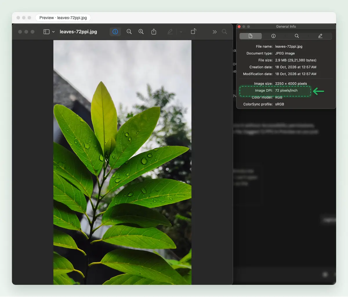 Screenshot of the Preview Inspector, General Info tab, for leaves-72ppi.jpg: Image size 2250 × 4000 pixels and Image DPI 72 pixels/inch, with Image DPI marked.