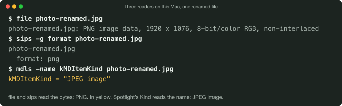 A drawn terminal showing what three commands printed for one file: file says photo-renamed.jpg is PNG image data, 1920 x 1076; sips -g format says png; mdls says its Spotlight kMDItemKind is JPEG image.