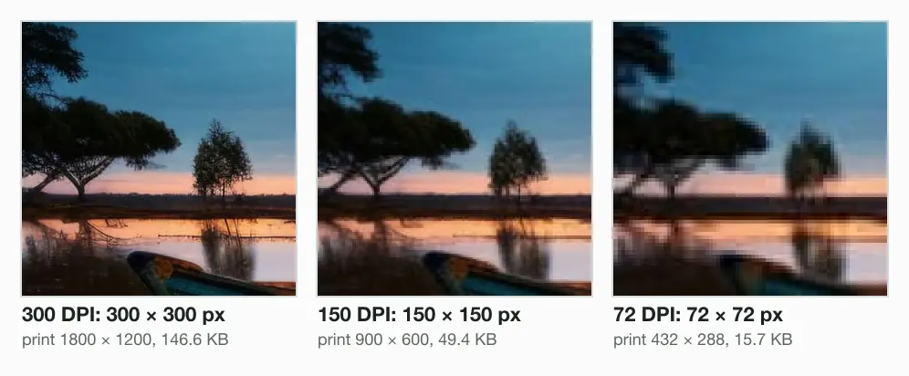 One inch of a 4 × 6 print at 3 densities, enlarged to one size: 300 × 300 pixels at 300 DPI, 150 × 150 at 150 and 72 × 72 at 72. The trees blur into blocks as the DPI drops.