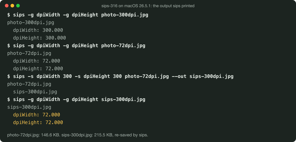 The sips session on macOS 26.5.1: photo-300dpi.jpg reads 300 DPI, photo-72dpi.jpg reads 72, sips writes 300 into a copy, and sips reads that copy as 72.000 DPI, 215.5 KB against 146.6 KB.