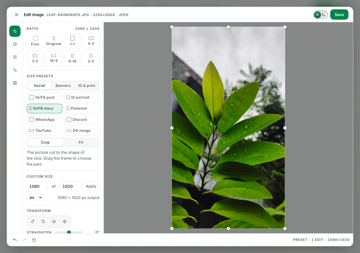 Screenshot of Blinkimg’s editor with the leaf photo open: Custom size set to 1080 by 1920 with the sides linked, the output line reading 1080 × 1920 px, and the crop frame on the photo.
