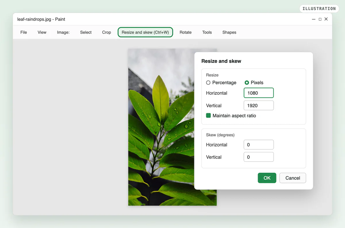 An illustration of Windows 11 Paint with the leaf photo open and the Resize and skew dialog showing: Pixels selected, Horizontal 1080, Vertical 1920, Maintain aspect ratio on.