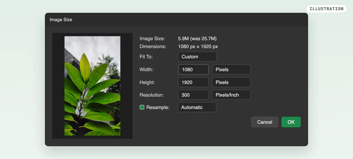 An illustration of Photoshop’s Image Size dialog with the leaf photo: Width 1080 and Height 1920 in Pixels, Resolution 300 Pixels/Inch, Resample on at Automatic, Image Size 5.9M (was 25.7M).