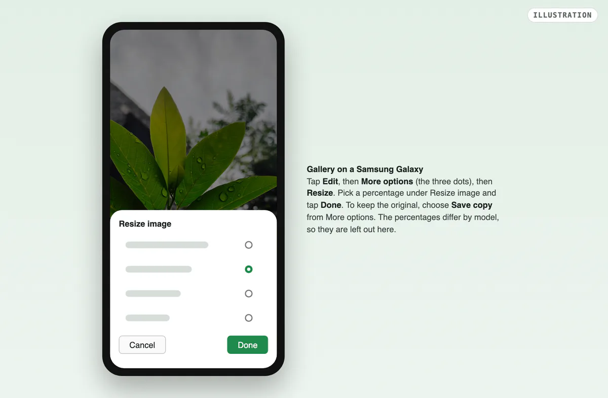 An illustration of Samsung Gallery on a Galaxy phone with the leaf photo and the Resize image sheet: a list of percentage options, one chosen, with Cancel and Done.