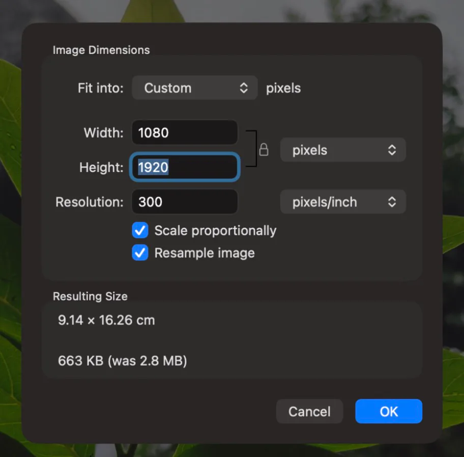 Screenshot of Preview on a Mac, Tools then Adjust Size, with the 2,250 × 4,000 leaf photo: Width 1080, Height 1920 pixels, Resolution 300, Scale proportionally and Resample image ticked, Resulting Size 663 KB (was 2.8 MB).