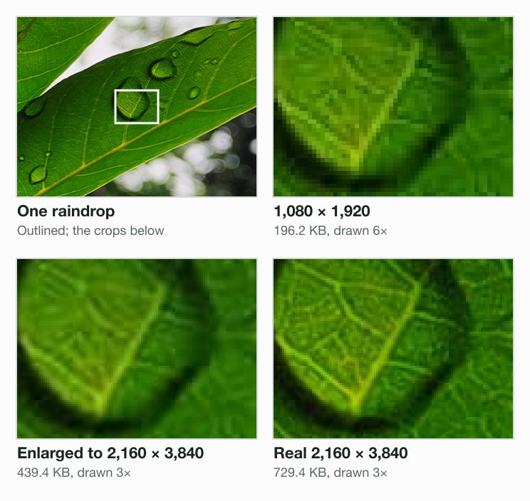 One raindrop on the leaf in three files: the 1,080 × 1,920 copy drawn 6 times larger shows square pixels; enlarged to 2,160 × 3,840 it is smooth but the veins under the drop are soft; the real 2,160 × 3,840 copy shows the fine veins sharp.