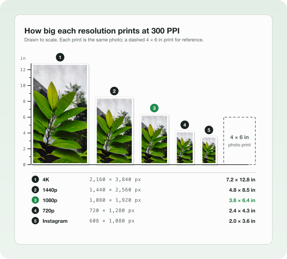 The leaf photo drawn as five prints to scale at 300 pixels per inch beside a dashed 4 × 6 inch print: 4K, 2,160 × 3,840, prints 7.2 × 12.8 inches; 1080p, 1,080 × 1,920, 3.6 × 6.4 inches; and the 608 × 1,080 copy only 2.0 × 3.6 inches.