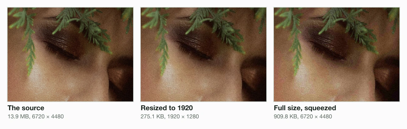 Three crops of the same eye and leaves from a portrait, all shown at 1920 pixels wide: the 13.9 MB source, the 275.1 KB file resized to 1920, and the 909.8 KB full-size file squeezed under the cap. All three look nearly the same; the resized one has slightly softer grain.