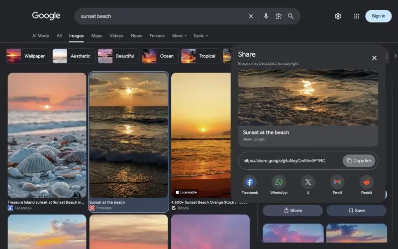 A screenshot of Google Images with a sunset result open and its Share panel showing a share.google link beside Copy link.