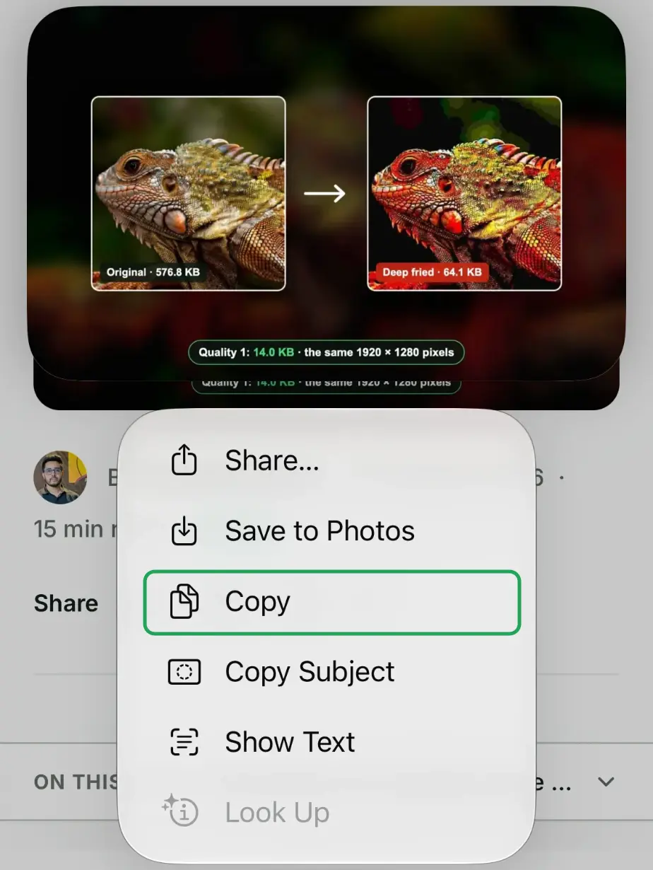 A screenshot of Safari on iPhone: the touch-and-hold menu on a picture, showing Share, Save to Photos and Copy, with Copy outlined and no address item.
