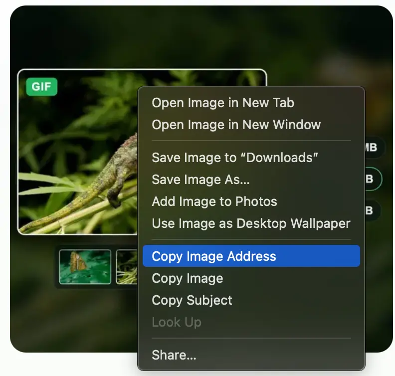 A screenshot of Safari on a Mac: the right-click menu on a photo, with Copy Image Address highlighted below the save items.