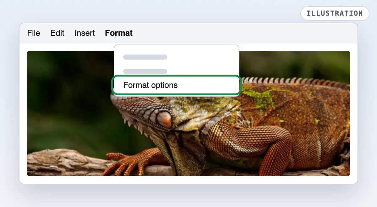 Illustration of Google Docs with the Format menu open and Format options highlighted over a color photo