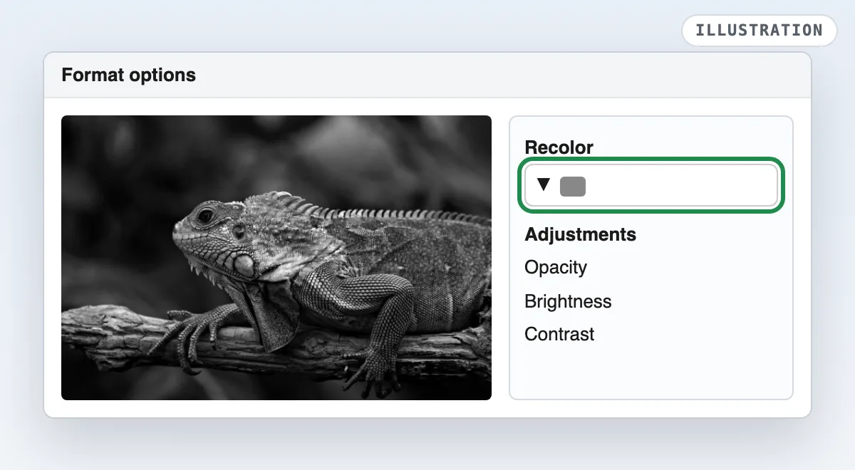 Illustration of the Google Docs Format options panel with the Recolor menu highlighted and the photo shown in grey