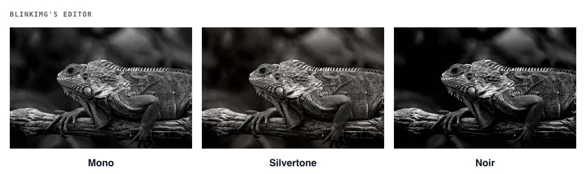 The iguana photo three times in Blinkimg's editor: Mono, Silvertone and Noir, each in black and white
