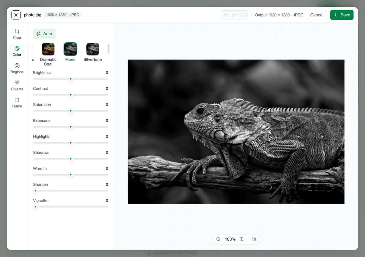 The Blinkimg editor on the Color tab with the Mono filter pressed and the iguana photo shown in black and white