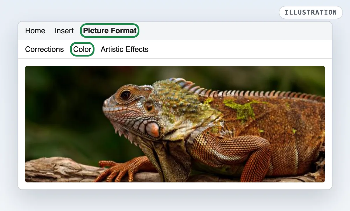 Illustration of Word with the Picture Format tab open and the Color button highlighted above a color photo