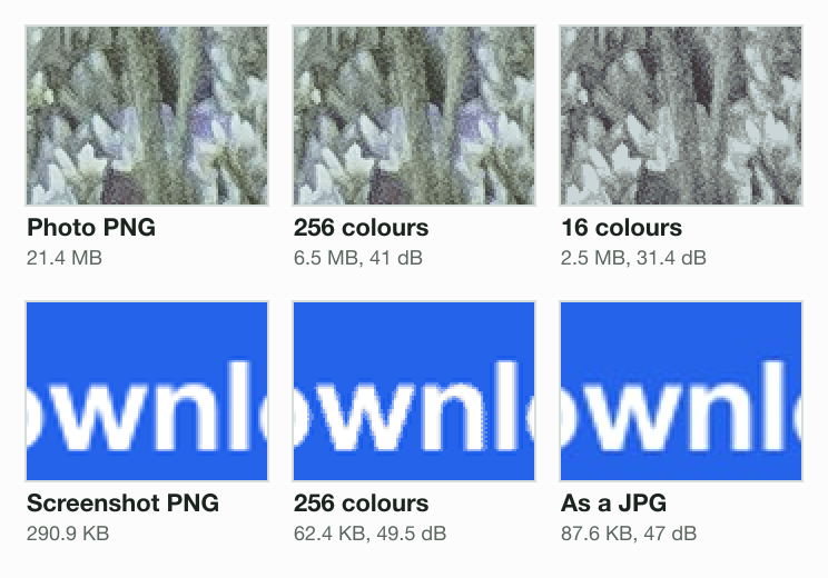Two crops drawn 2 times larger. Top: the flower photo as the source PNG, at 256 colours (41 dB, close to the source) and at 16 colours (31.4 dB, greyer and blotchy). Bottom: white text on a blue button as the source PNG, at 256 colours (clean edges) and as a JPG (soft, smeared edges).