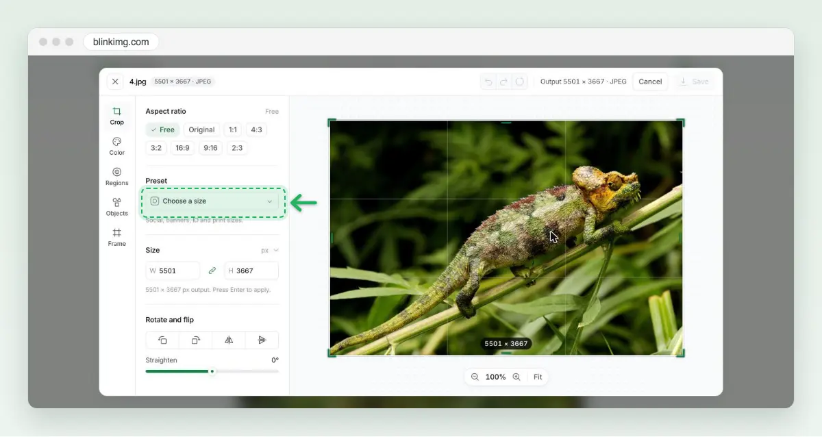 Screenshot of Blinkimg’s editor opened from the result: the chameleon photo at 5501 × 3667, the Crop panel with Aspect ratio buttons, and Preset reading Choose a size.