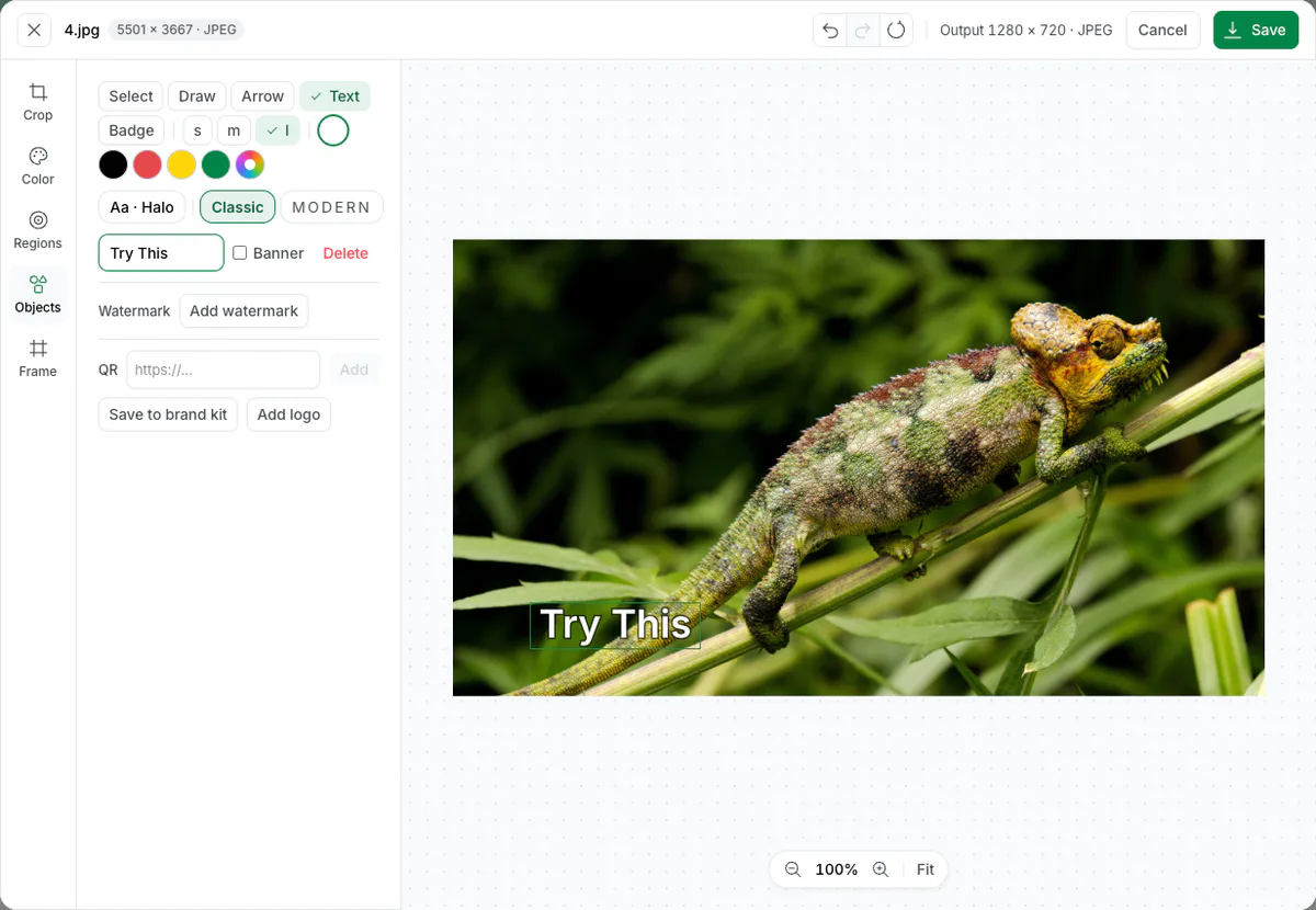 Screenshot of Blinkimg’s editor on the Objects panel: Text and the l size are selected, the Object text field reads Try This, and the words sit in white over the chameleon photo.