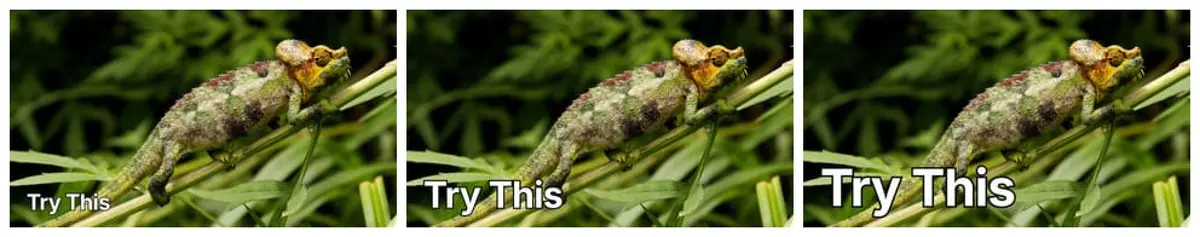 Three copies of the chameleon thumbnail at 320 × 180, enlarged two times, with the headline at 72, 120, 168 pixels on the full-size canvas, from small to large.