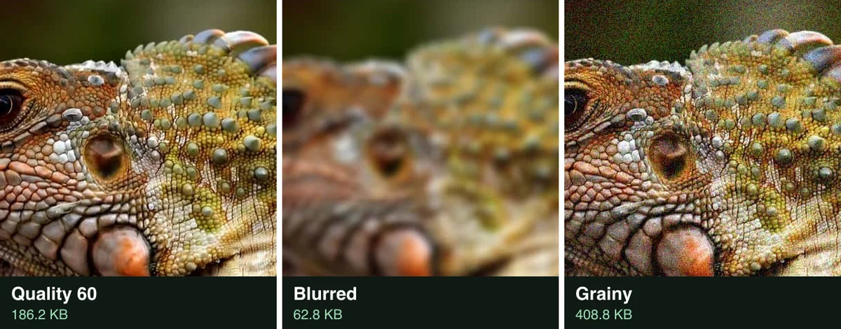 The iguana crop three ways at quality 60: sharp at 186.2 KB, blurred soft at 62.8 KB, and speckled with grain at 408.8 KB