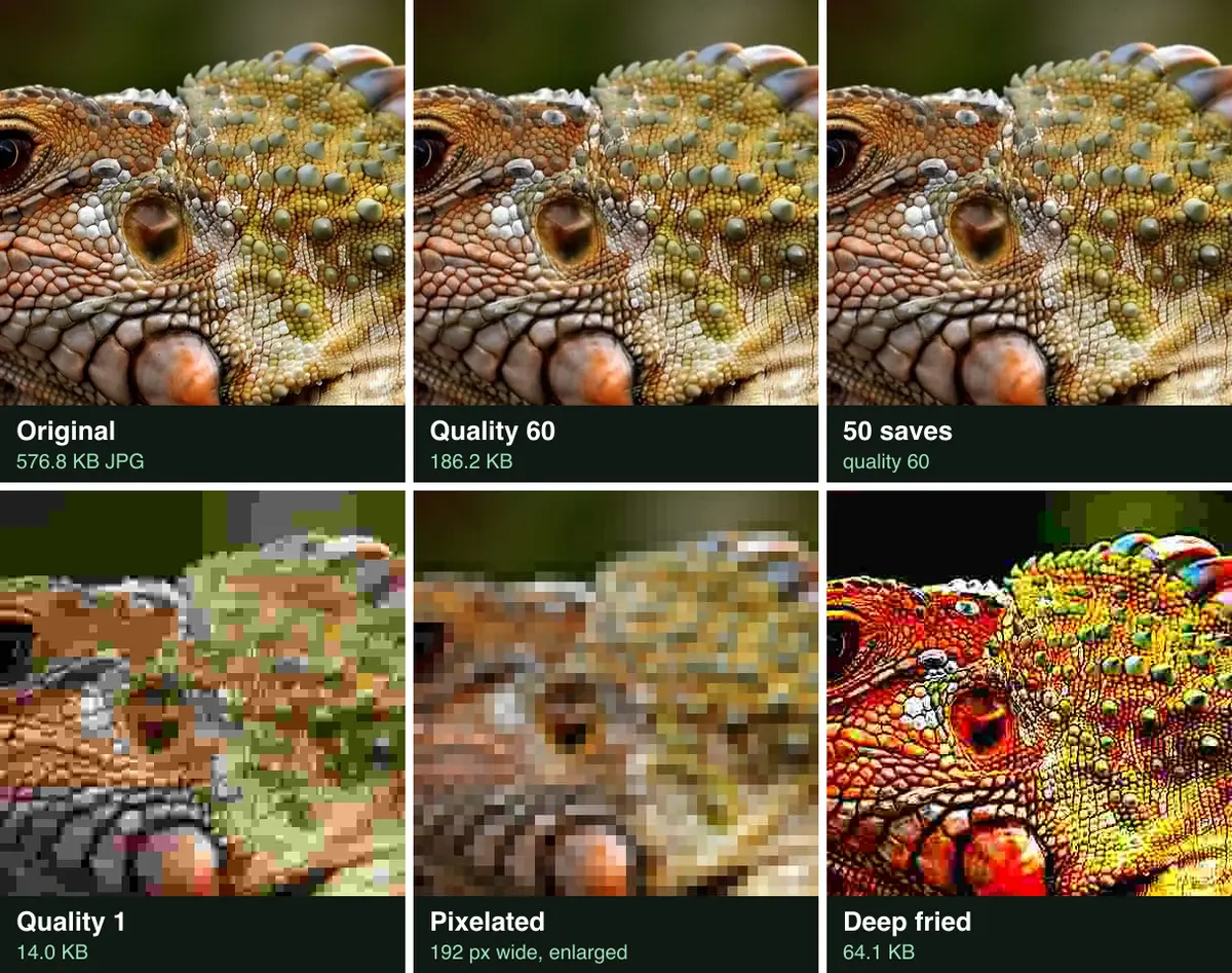 Six crops of the same iguana head: the original, quality 60, 50 saves at quality 60, quality 1 in big blocks, pixelated in coarse squares, and deep fried in burnt red and yellow