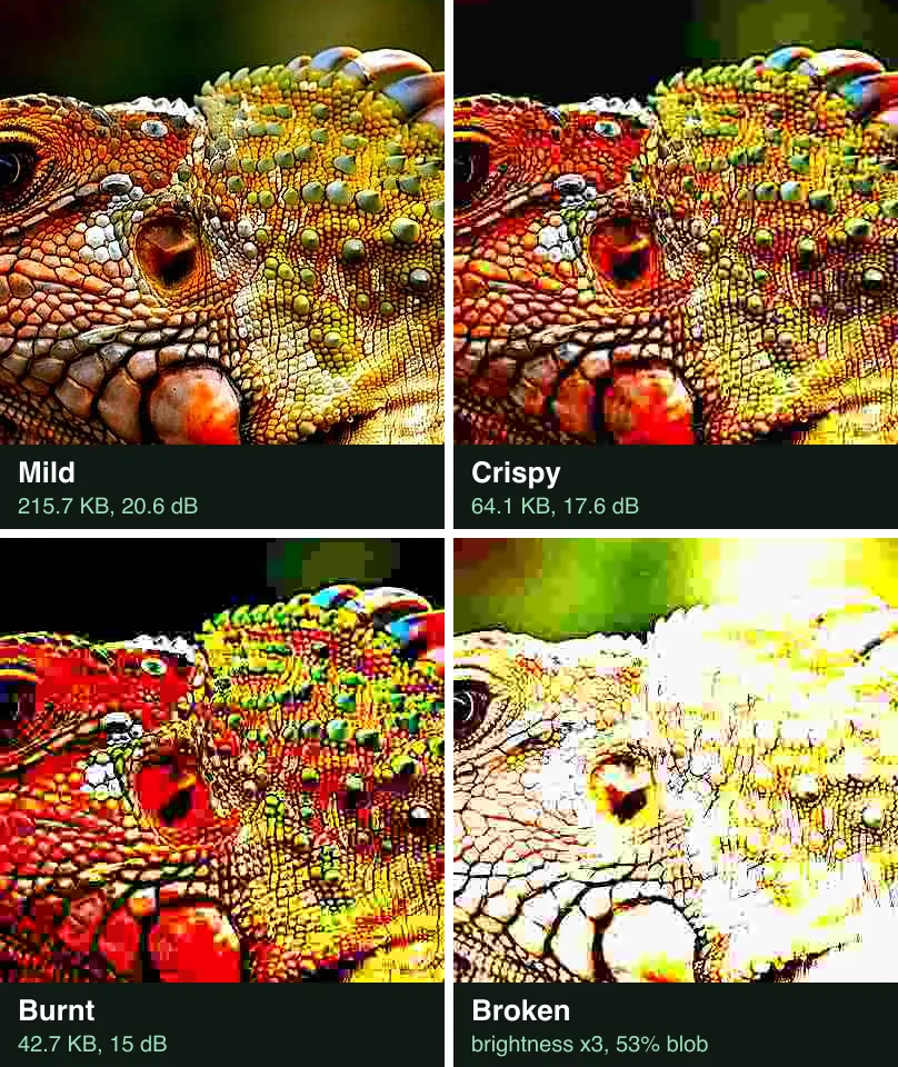 The iguana's head fried four ways: mild with warm strong colour, crispy with dark edges, burnt in red and yellow blocks, and broken into a white blob