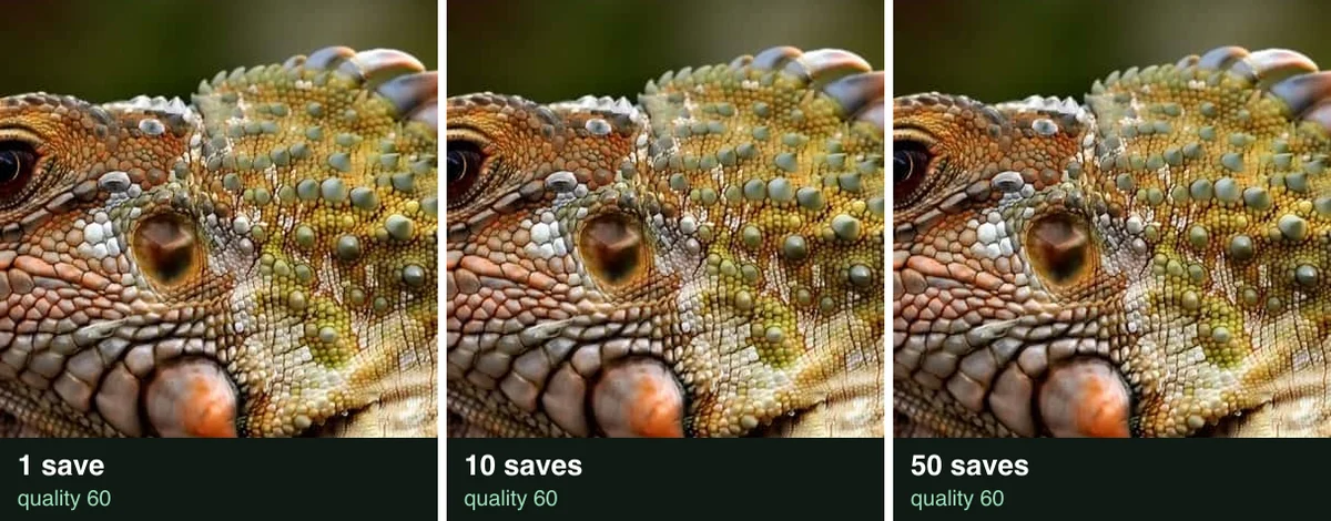 The iguana crop after 1, 10 and 50 saves at quality 60, all three looking the same