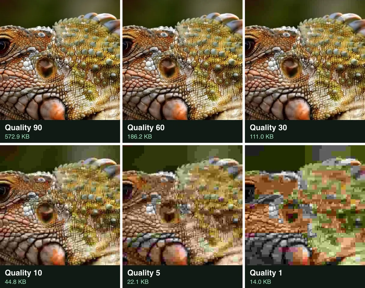 The iguana's head saved as a JPG at quality 90, 60, 30, 10, 5 and 1, from 572.9 KB down to 14.0 KB, the blocks growing at each step