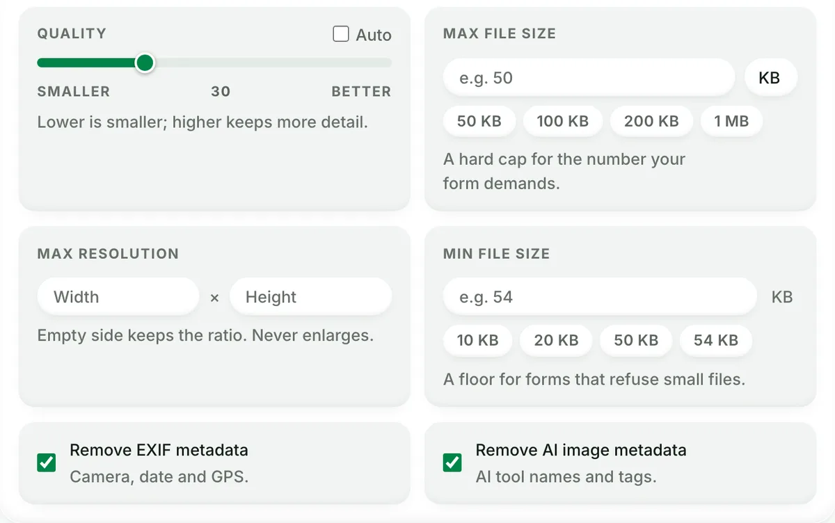 Blinkimg Advanced settings with the Quality slider at 30, Auto unticked, beside the Max file size and Max resolution fields