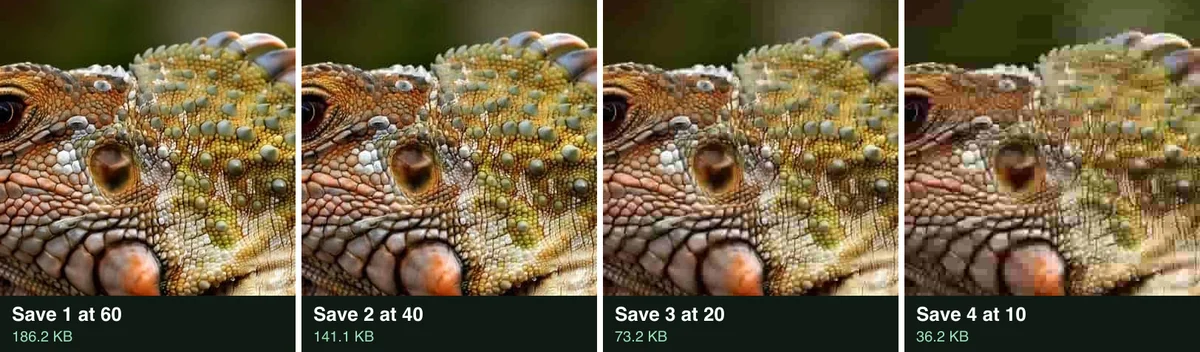 The iguana crop after four saves at falling quality, 60, 40, 20 and 10, the blocks growing at each step