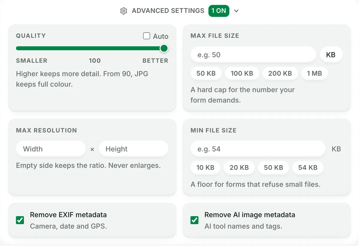 Blinkimg Advanced settings with Quality at 100 and both Remove EXIF metadata and Remove AI image metadata ticked
