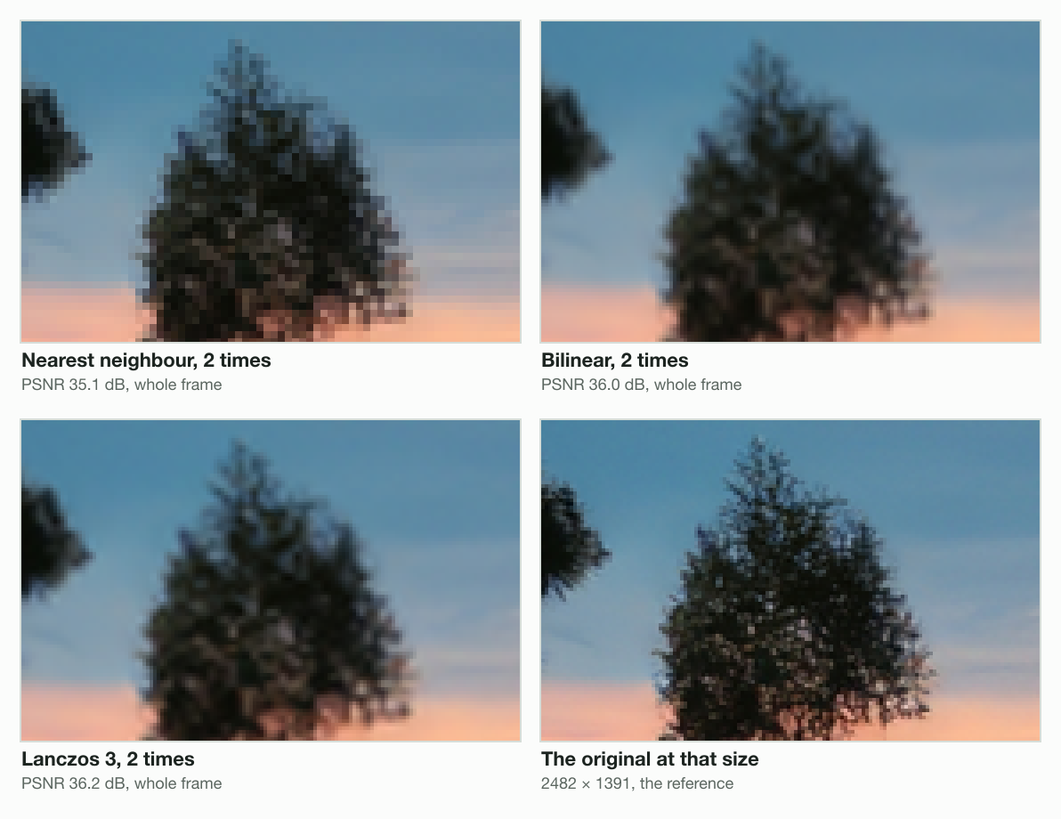 A small tree from our photo, enlarged 4× to show pixels: the 1241 × 696 copy enlarged 2× by sharp 0.35.4 with nearest neighbour (35.1 dB), bilinear (36.0 dB) and Lanczos 3 (36.2 dB), beside the original at 2482 × 1391.