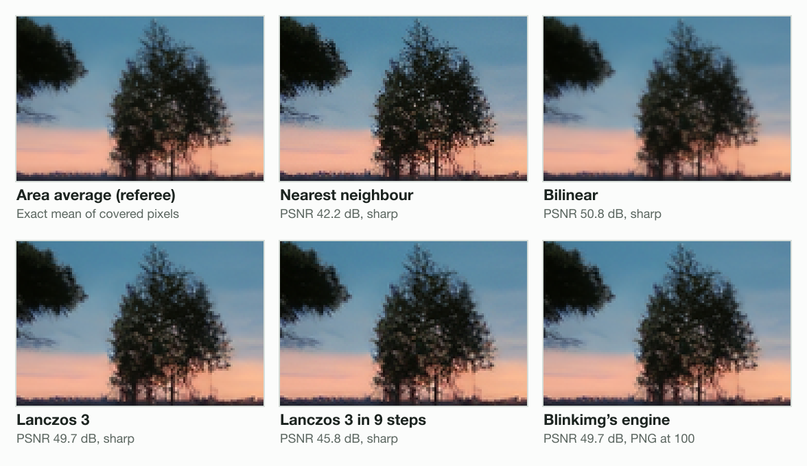 One small tree from our photo at 1920 × 1076, enlarged 3 times, in six resizes: the area-average referee, nearest neighbour (42.2 dB), bilinear (50.8 dB), Lanczos 3 (49.7 dB), Lanczos 3 in 9 steps (45.8 dB) and Blinkimg's engine (49.7 dB).