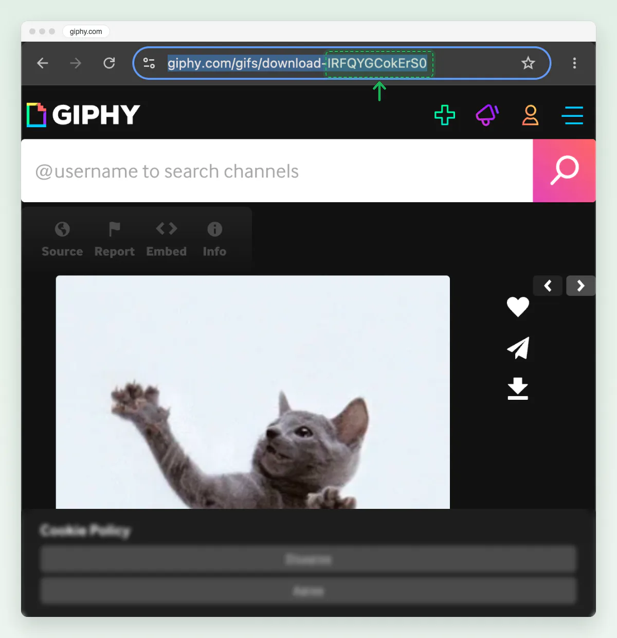 Screenshot of the Giphy GIF page in Chrome with the end of the address, IRFQYGCokErS0, marked in the address bar.
