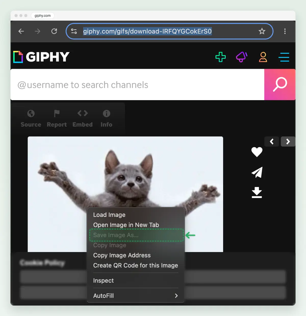 Screenshot of a Giphy GIF page in Chrome with the right-click menu open: Load Image, Open Image in New Tab, and Save Image As greyed out and marked. The cookie banner is blurred.