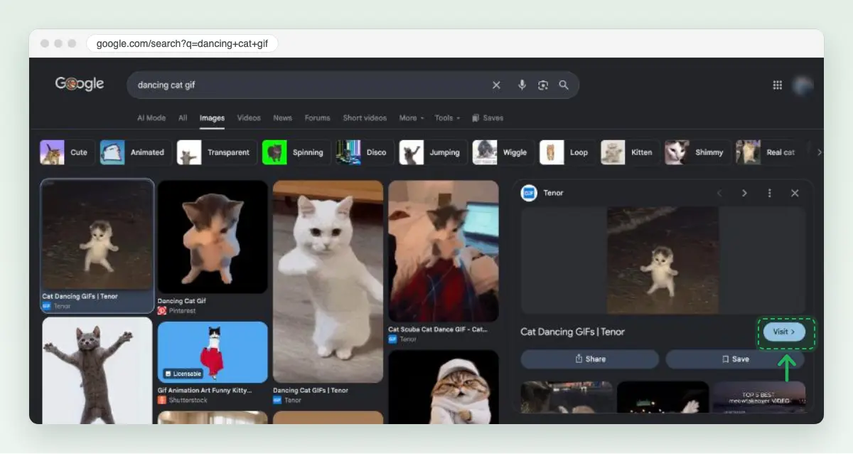 Screenshot of Google Images in Chrome for “dancing cat gif”: a Tenor GIF open in the preview panel on the right, with Share, Save and the Visit button marked. The account avatar is blurred.