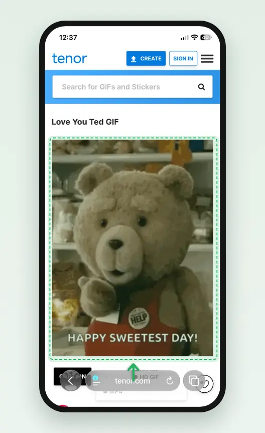 Screenshot of Safari on an iPhone showing a GIF on its own page on Tenor, with the GIF marked.