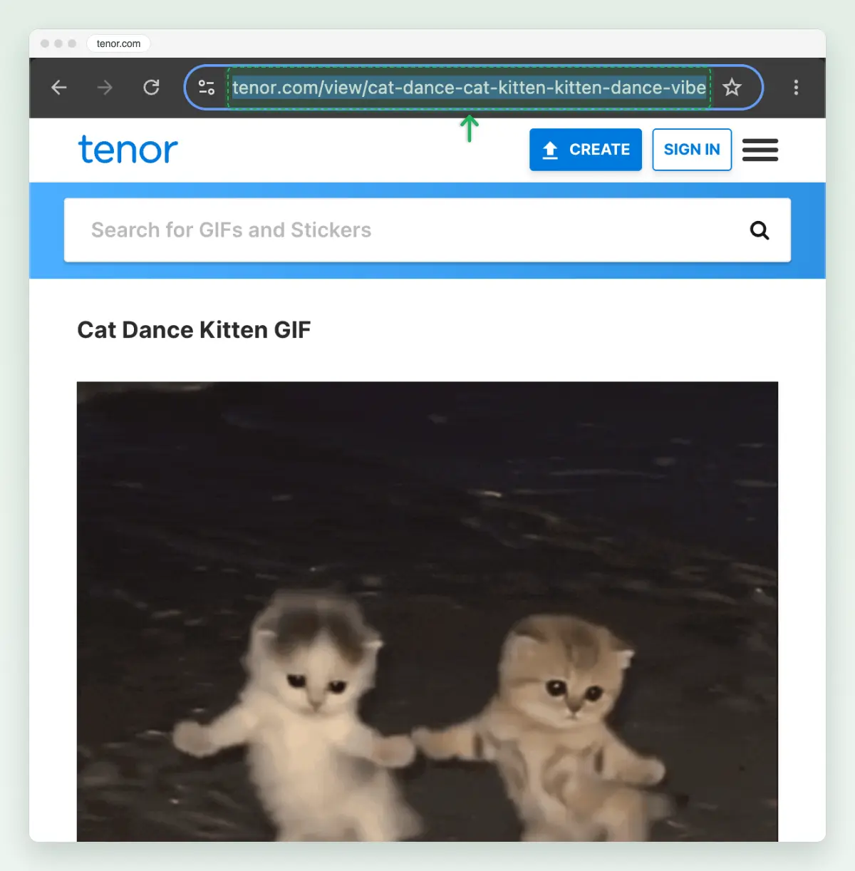 Screenshot of a Tenor GIF page in Chrome on a Mac: a dancing kitten GIF on its own page, with the tenor.com/view address marked.