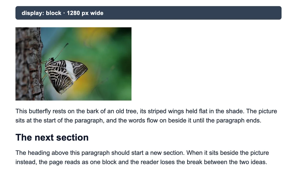 The test page with the photo as display: block: the photo on its own line, the paragraph and heading under it.