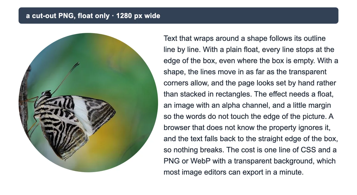 A round cut-out of the butterfly photo floated left with no shape-outside: every line of text starts at the same straight edge.