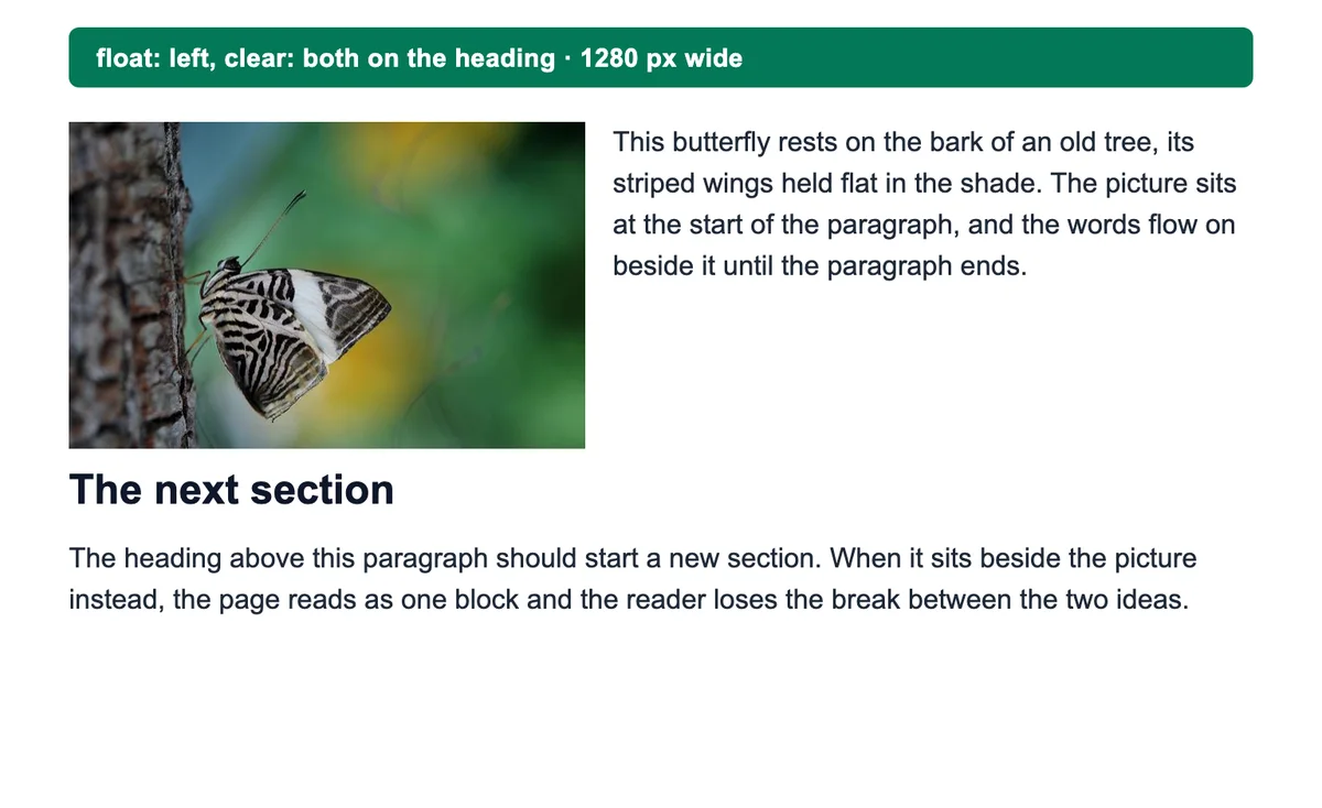The same test page with clear: both on the heading: the paragraph wraps beside the photo and the heading starts 86 pixels lower, under it.