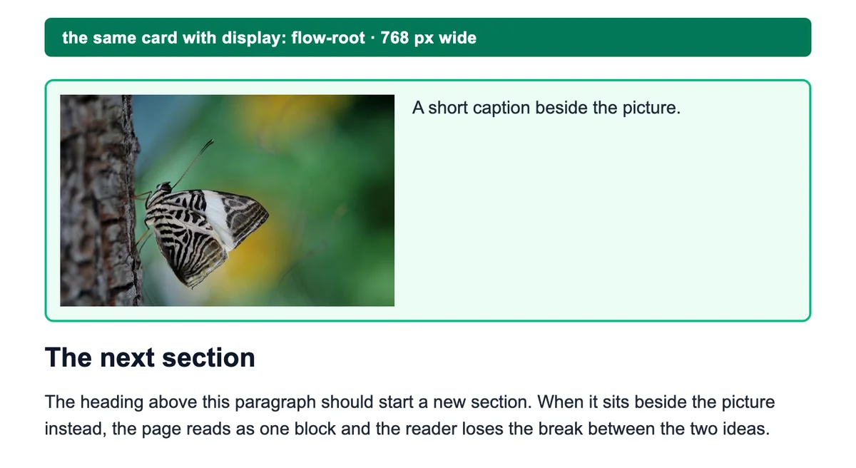 The same green card with display: flow-root: it grew to 218 pixels, the border now wraps the whole photo and the heading starts below the card.