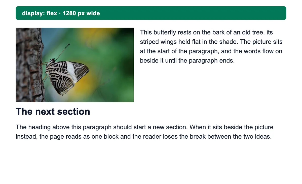 The test page with display: flex: the photo and paragraph side by side, the heading under both.