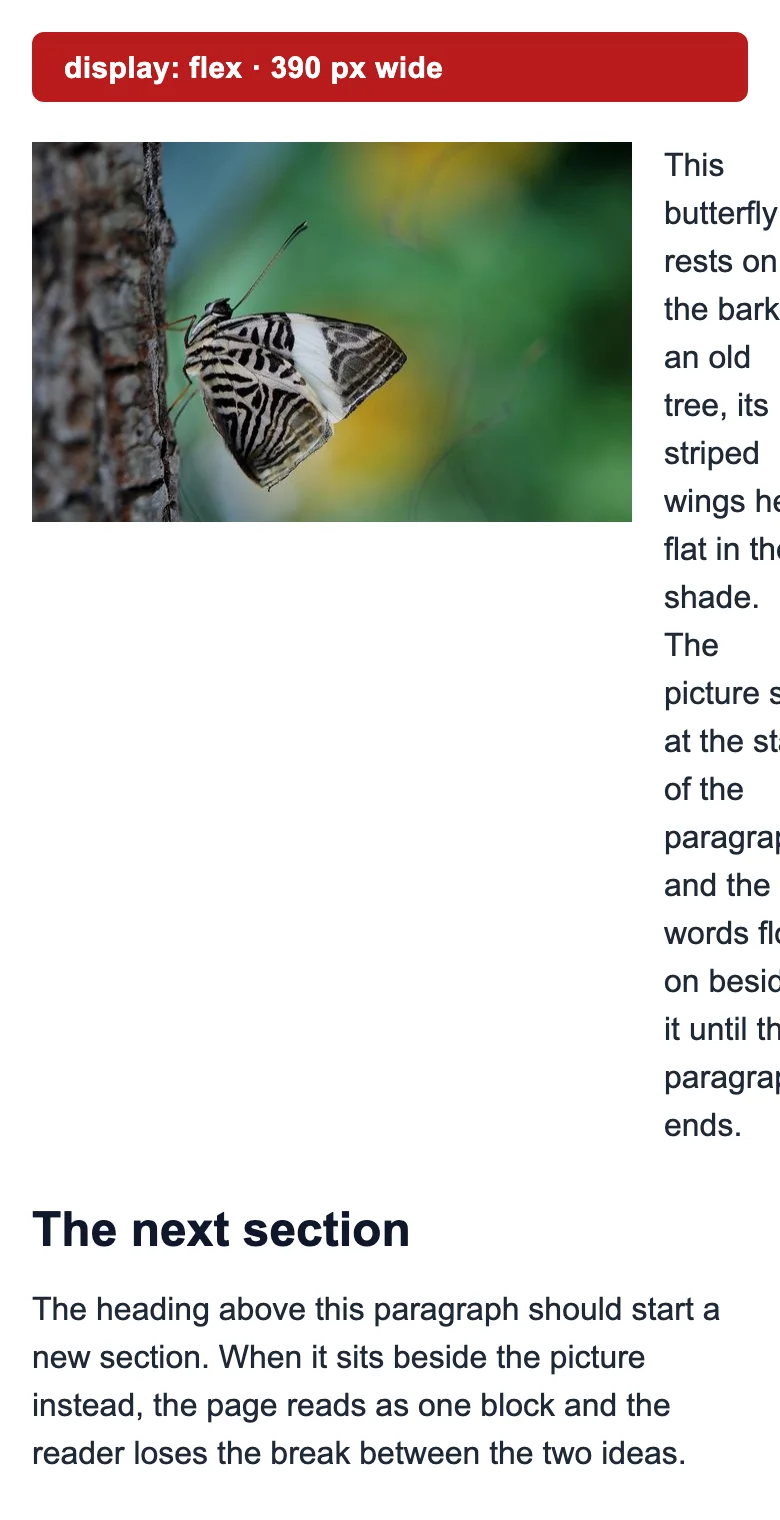 The flex test page on a 390 pixel phone: the photo takes most of the width and the paragraph runs down a narrow column of one or two words per line.
