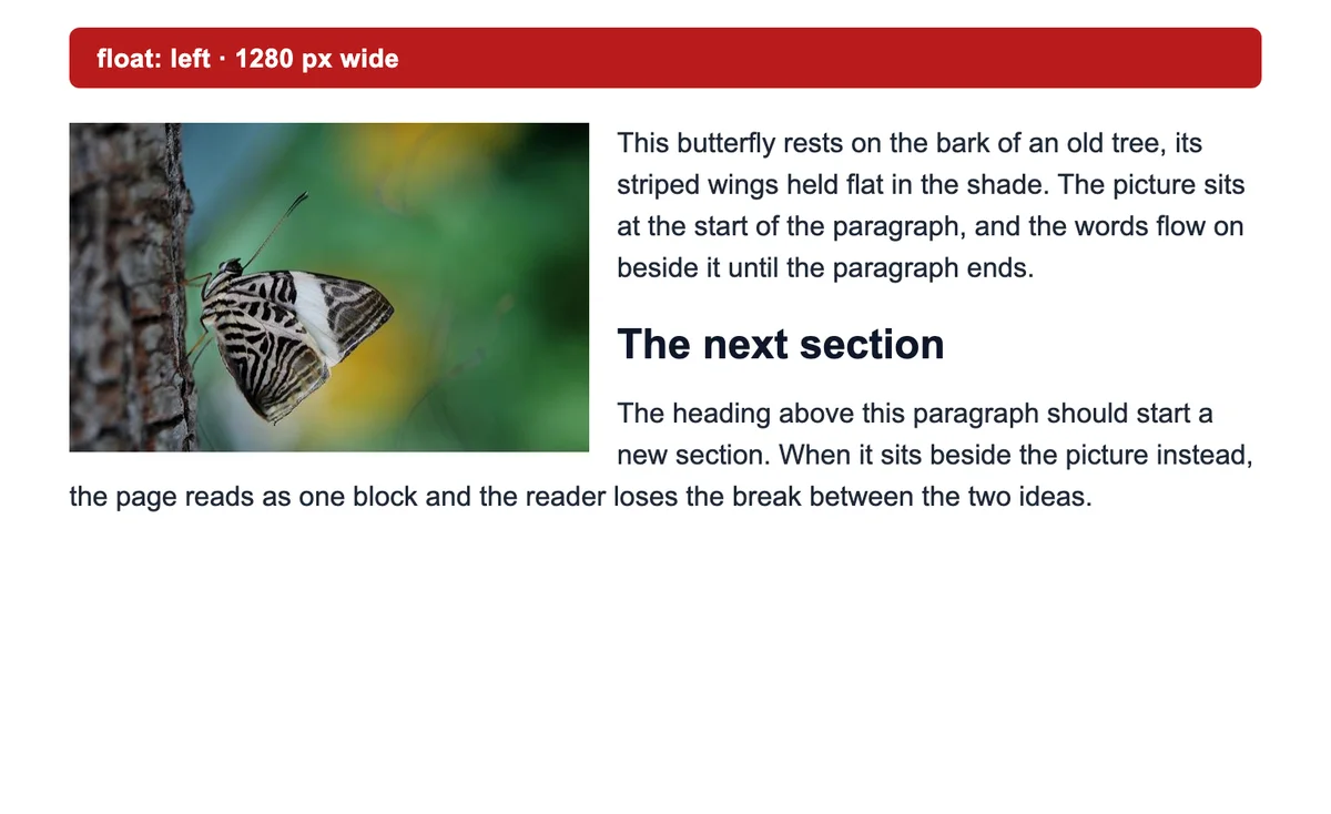 A test page at 1280 pixels wide: a butterfly photo floated left, the paragraph beside it, and the heading "The next section" also beside the photo instead of under it.